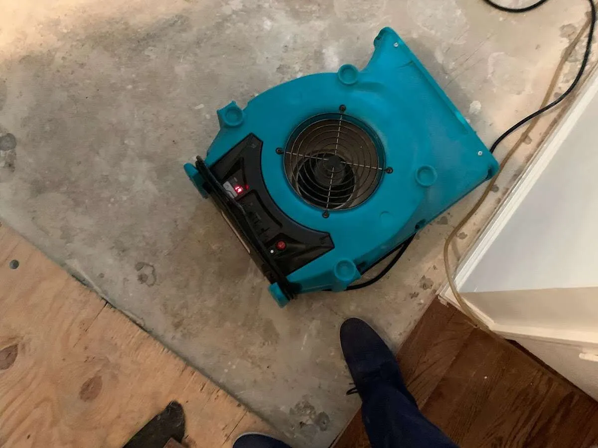 Air mover drying subfloor during Commercial Water Damage Restoration in Meadowbrook