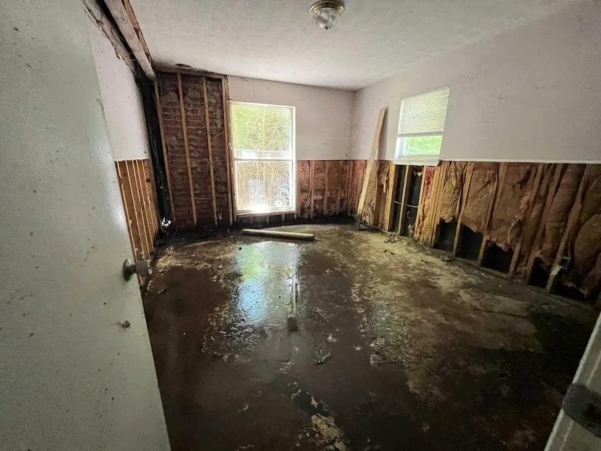 Water Damage Restoration services in Meadowbrook, AL